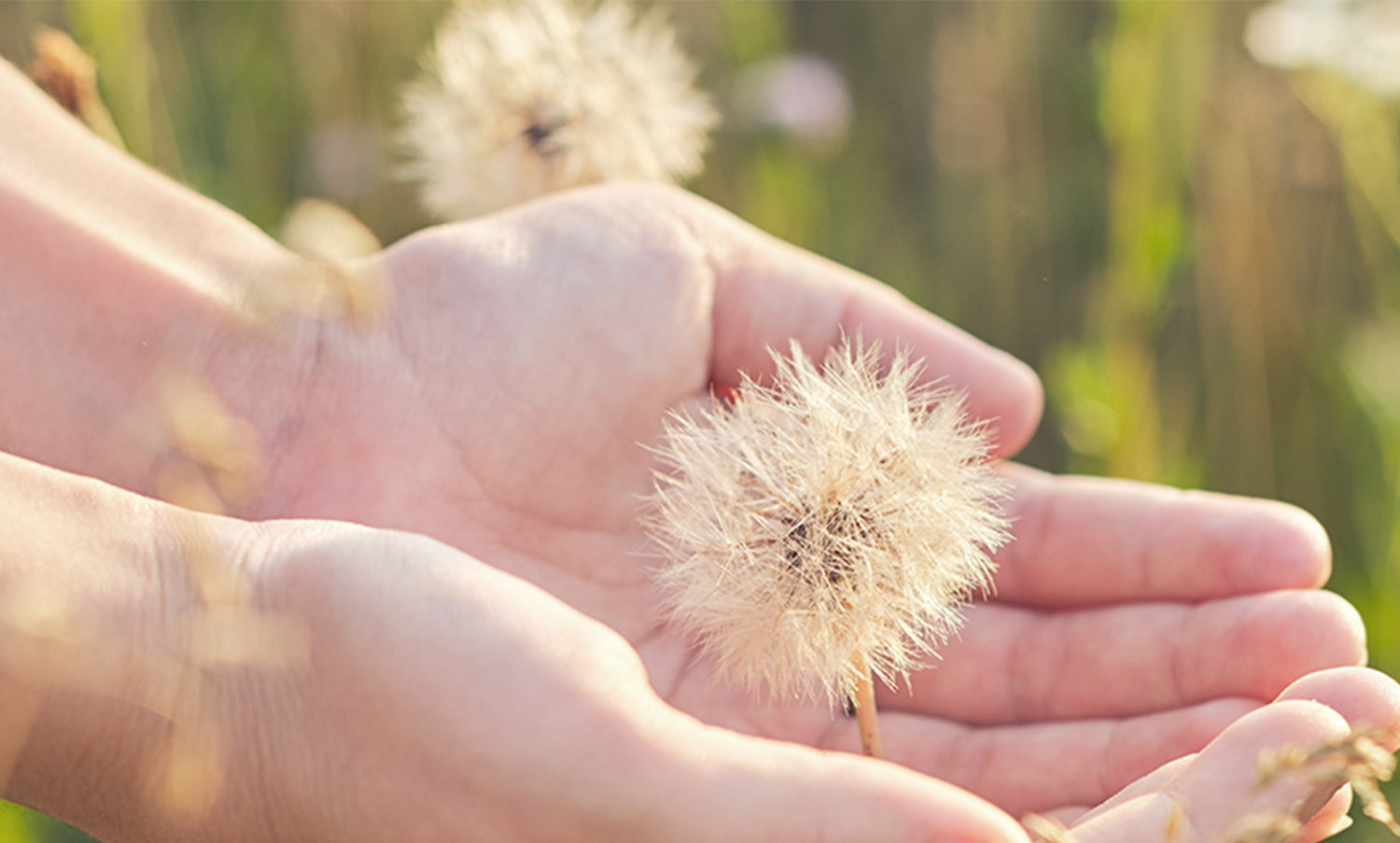 Hormones et peau : quel impact ?