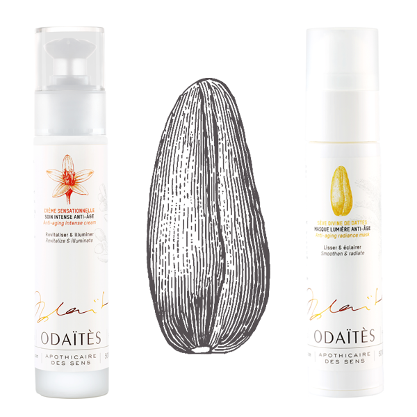 Sève Divine de Dattes et Crème Sensationnelle - L Odaites