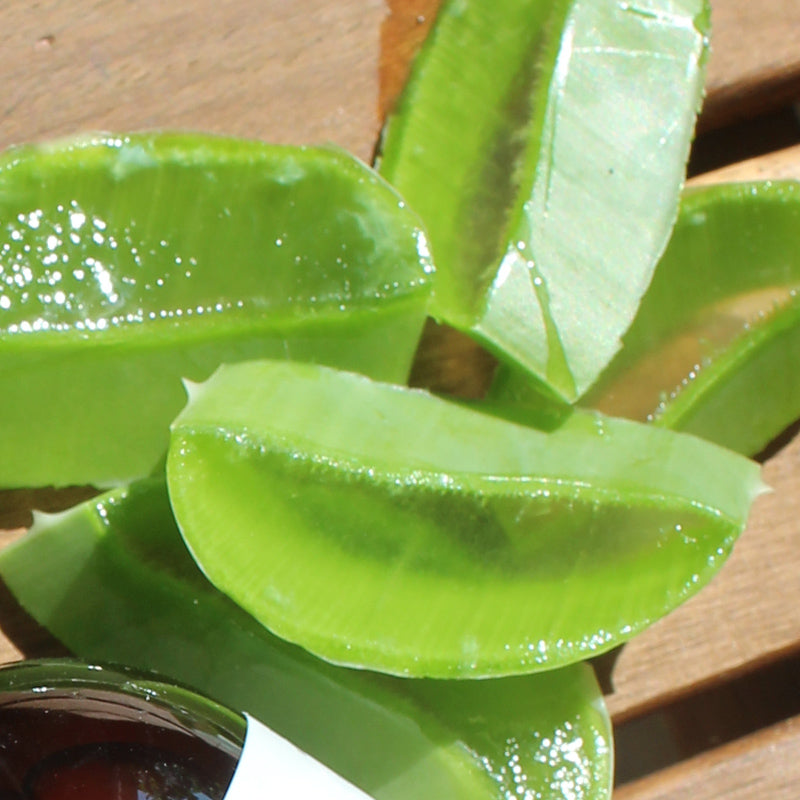 Aloe vera, it does not lack spice...