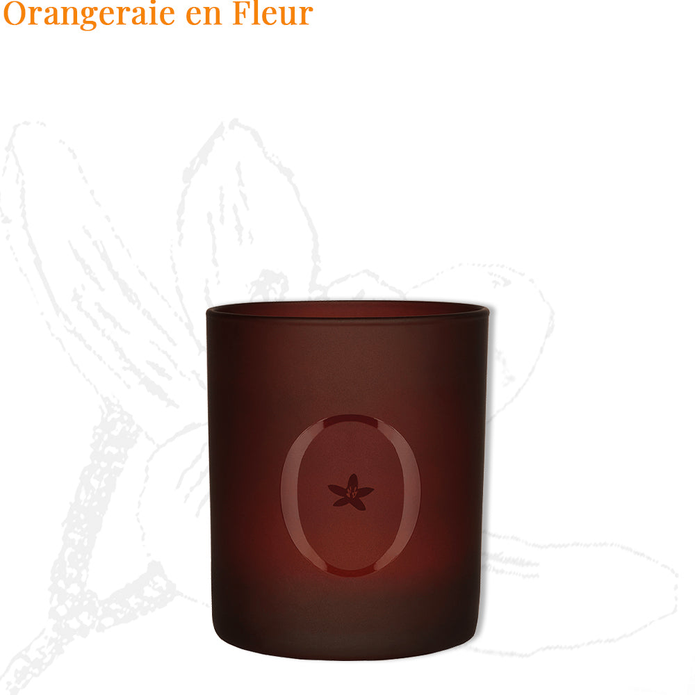 Bougie parfumée Orangeraie en Fleur de L'Odaïtès sur fond blanc
