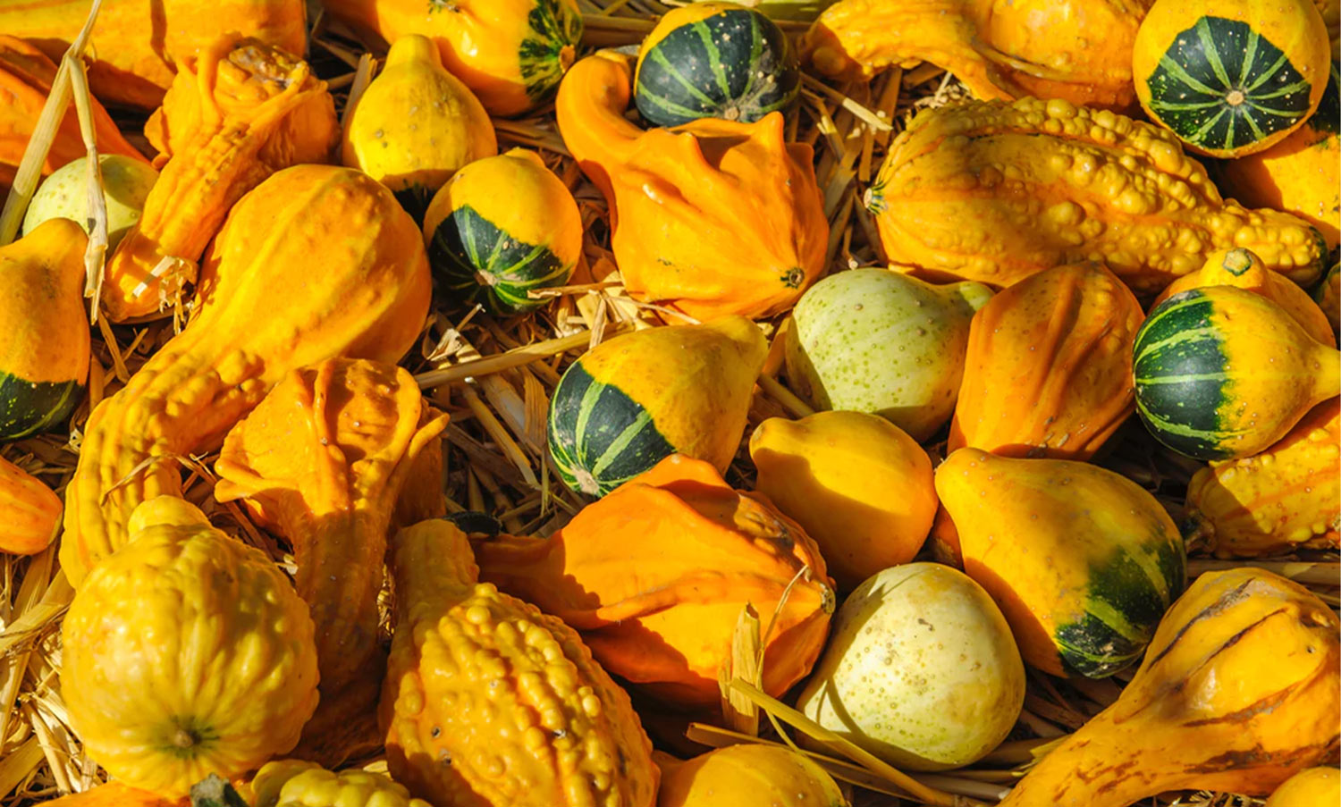 Le meilleur pour ma peau en fruits et légumes d’automne