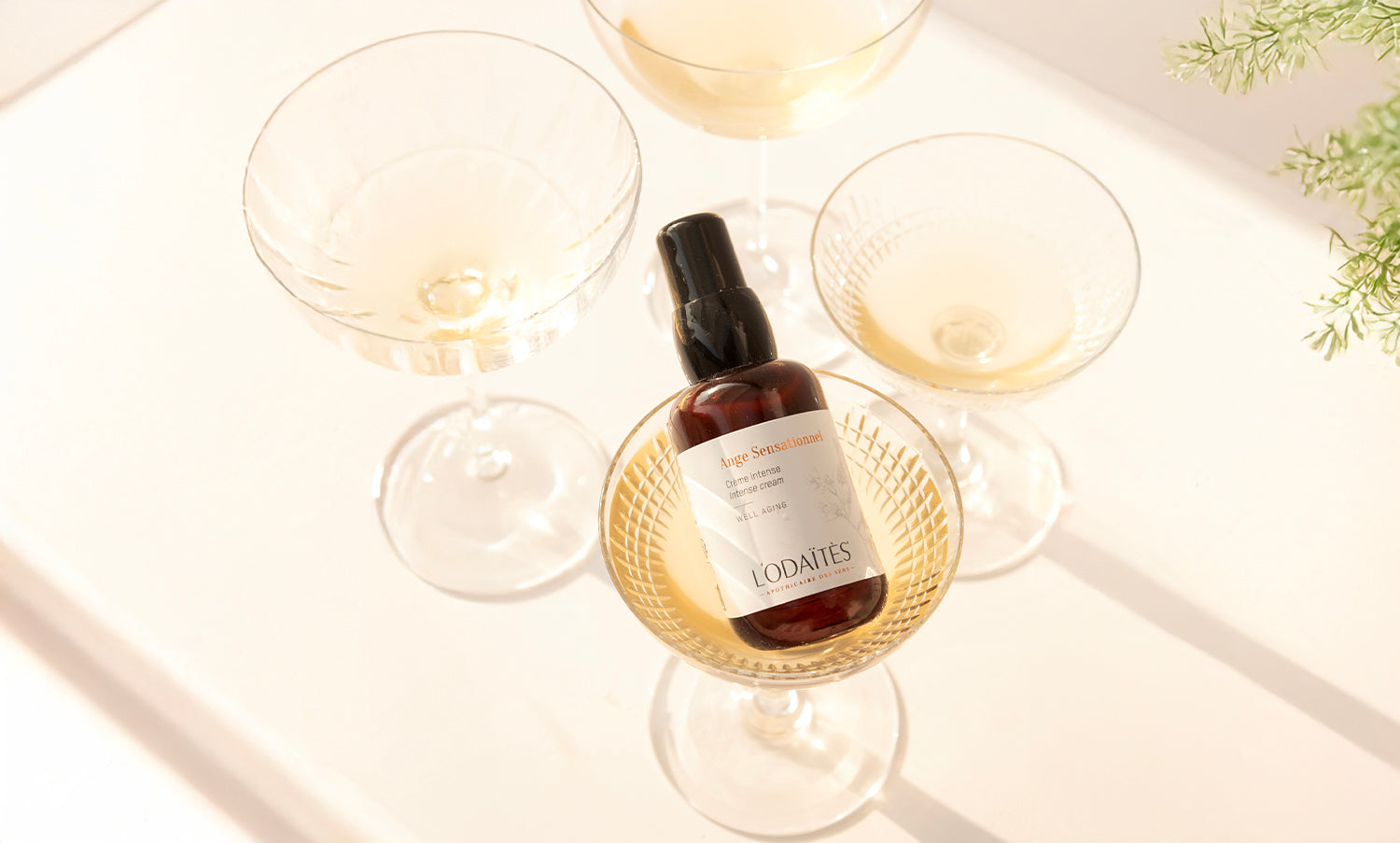 Gestuelle | Crème intense "Ange Sensationnel"